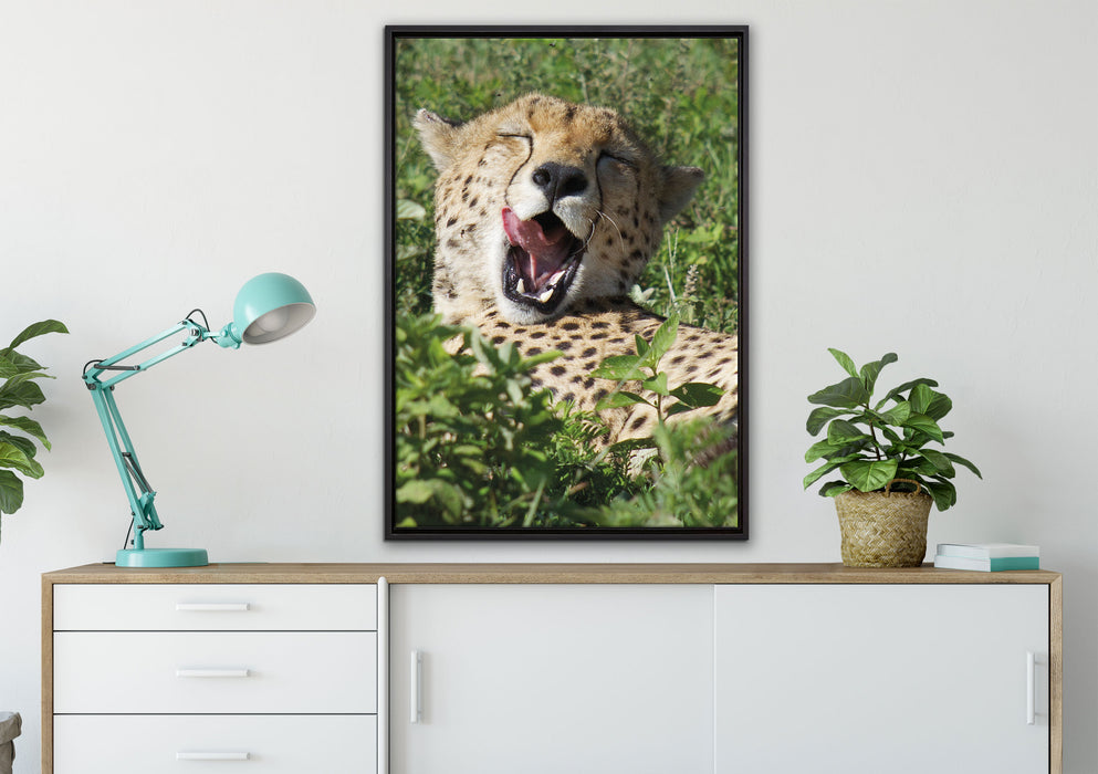müder Gepard ruht auf Wiese auf Leinwandbild gerahmt verschiedene Größen im Wohnzimmer