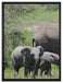 Süße Elefanten Babys auf Leinwandbild gerahmt Größe 80x60