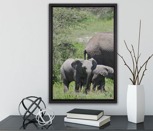 Süße Elefanten Babys auf Leinwandbild gerahmt mit Kirschblüten