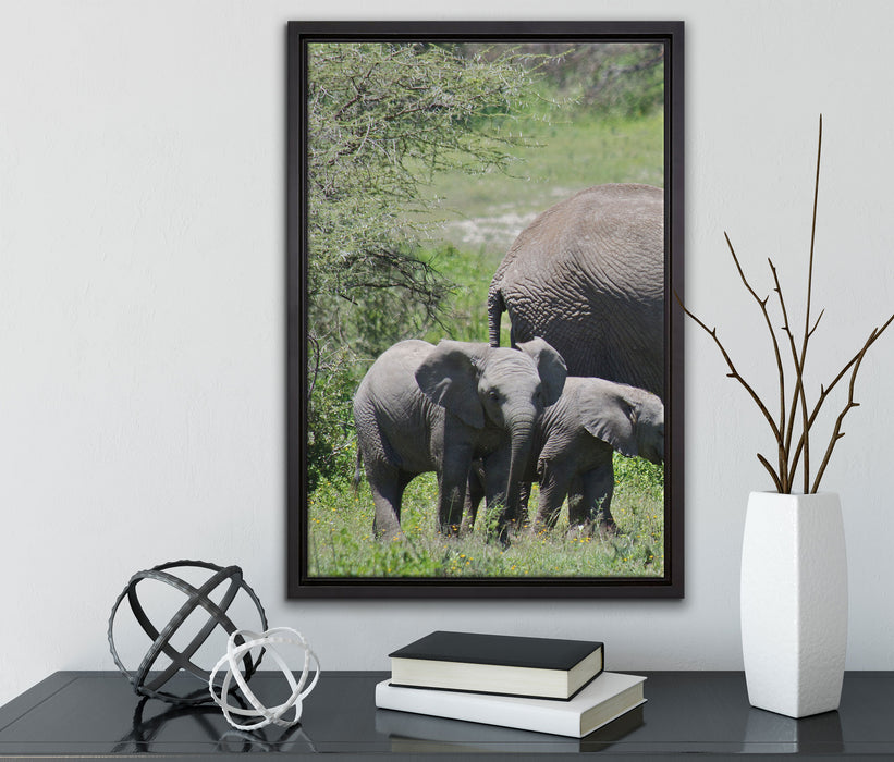 Süße Elefanten Babys auf Leinwandbild gerahmt mit Kirschblüten
