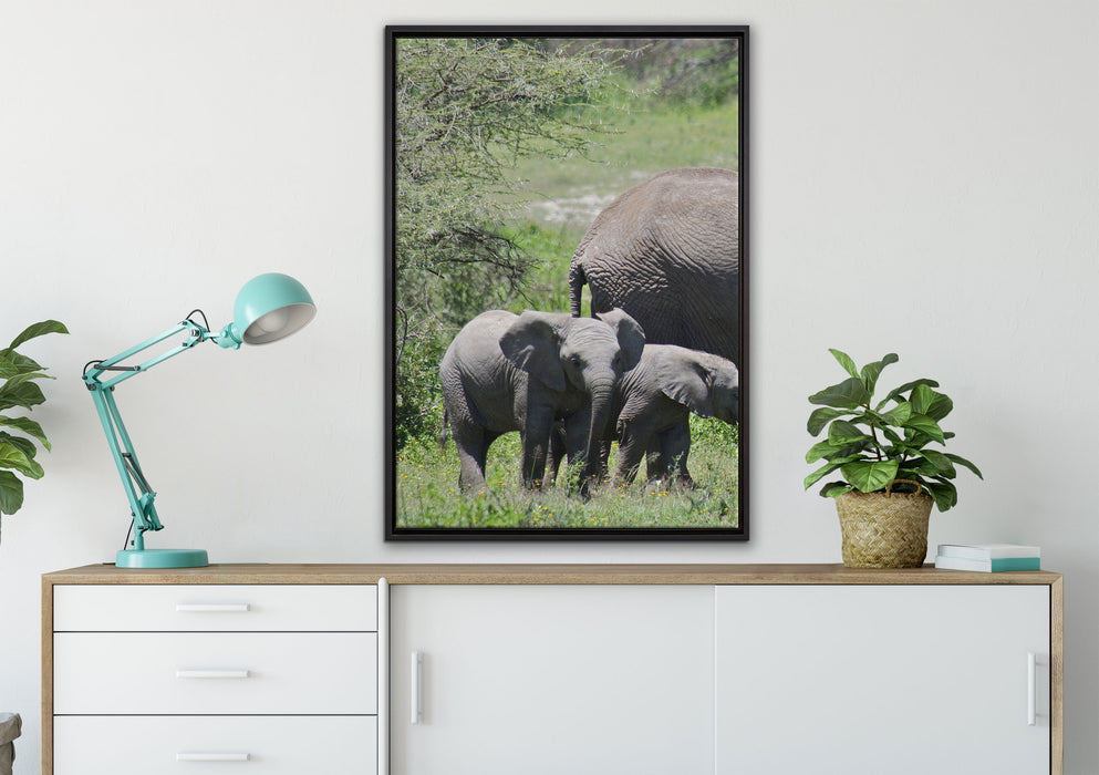 Süße Elefanten Babys auf Leinwandbild gerahmt verschiedene Größen im Wohnzimmer