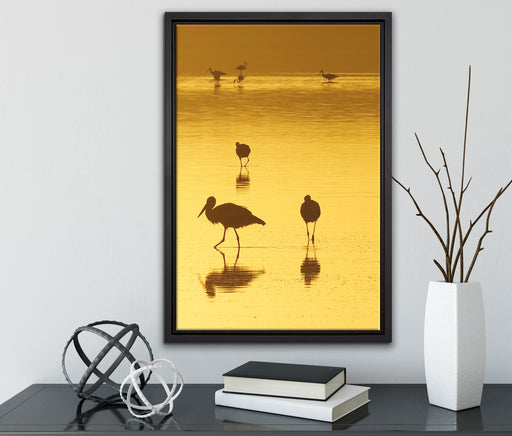 Störche im Wasser auf Leinwandbild gerahmt mit Kirschblüten