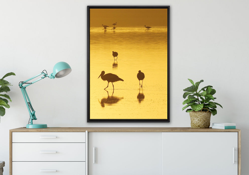 Störche im Wasser auf Leinwandbild gerahmt verschiedene Größen im Wohnzimmer