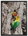 Papageienpaar auf Leinwandbild gerahmt Größe 80x60