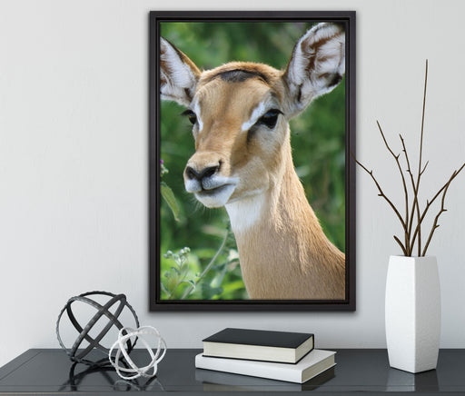 niedliches Reh auf Wiese auf Leinwandbild gerahmt mit Kirschblüten