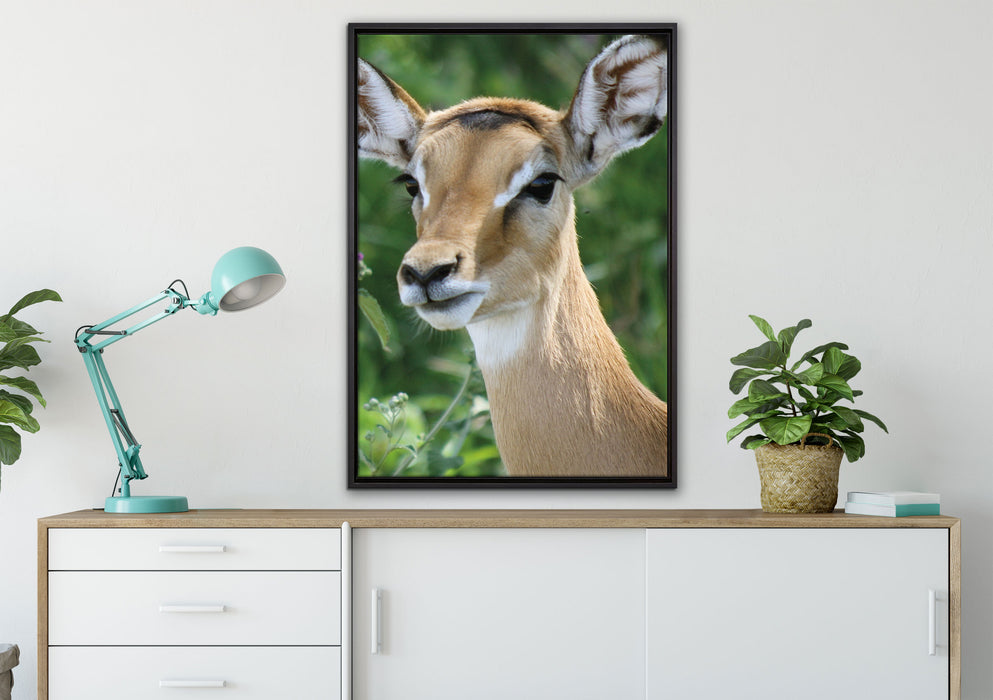 niedliches Reh auf Wiese auf Leinwandbild gerahmt verschiedene Größen im Wohnzimmer