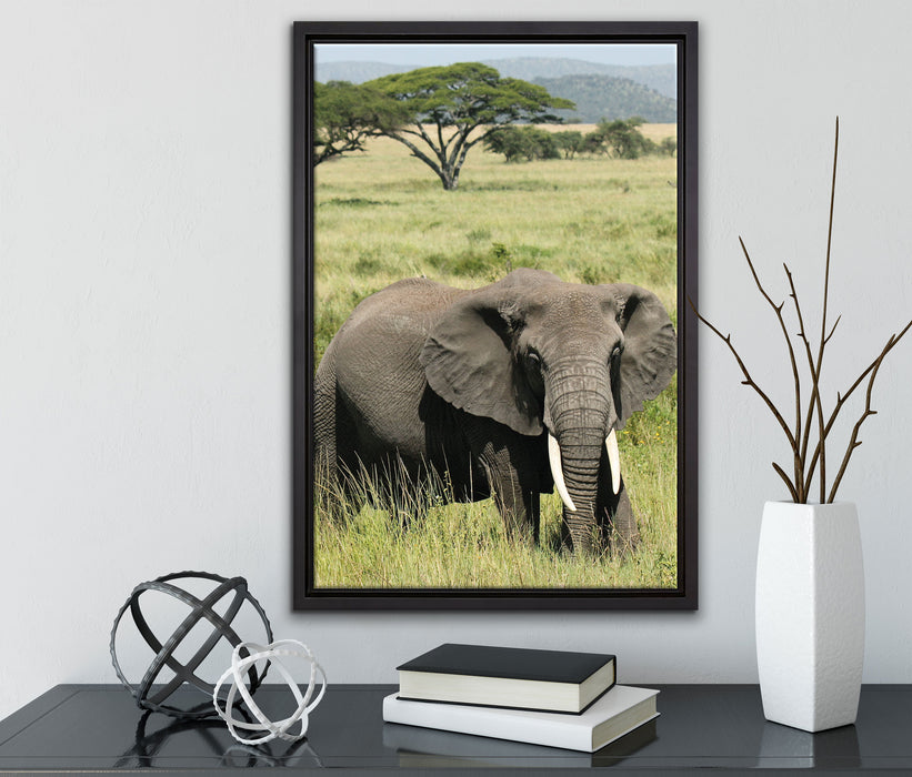 Elefant in der Savanne auf Leinwandbild gerahmt mit Kirschblüten