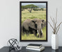 Elefant in der Savanne auf Leinwandbild gerahmt mit Kirschblüten