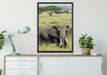 Elefant in der Savanne auf Leinwandbild gerahmt verschiedene Größen im Wohnzimmer