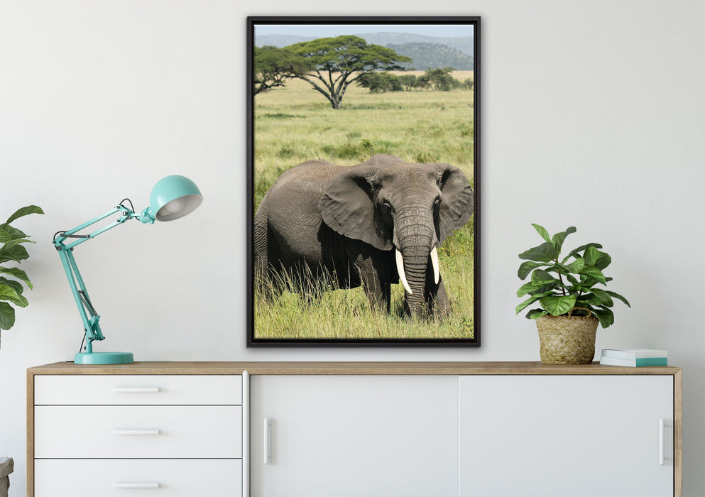 Elefant in der Savanne auf Leinwandbild gerahmt verschiedene Größen im Wohnzimmer