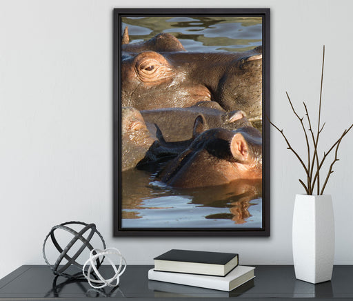 schwimmende Flusspferdfamilie auf Leinwandbild gerahmt mit Kirschblüten