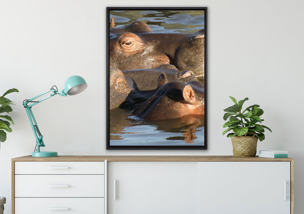 schwimmende Flusspferdfamilie auf Leinwandbild gerahmt verschiedene Größen im Wohnzimmer