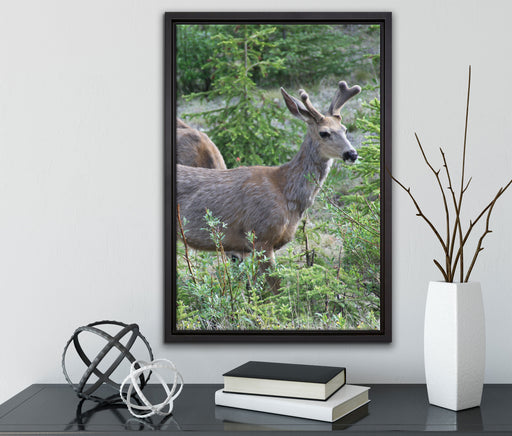 junges Reh Paar auf Leinwandbild gerahmt mit Kirschblüten
