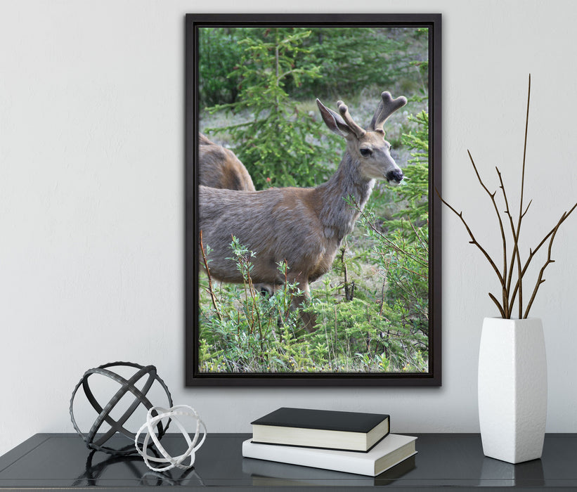 junges Reh Paar auf Leinwandbild gerahmt mit Kirschblüten