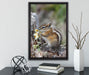 Streifenhörnchen beim Fressen auf Leinwandbild gerahmt mit Kirschblüten