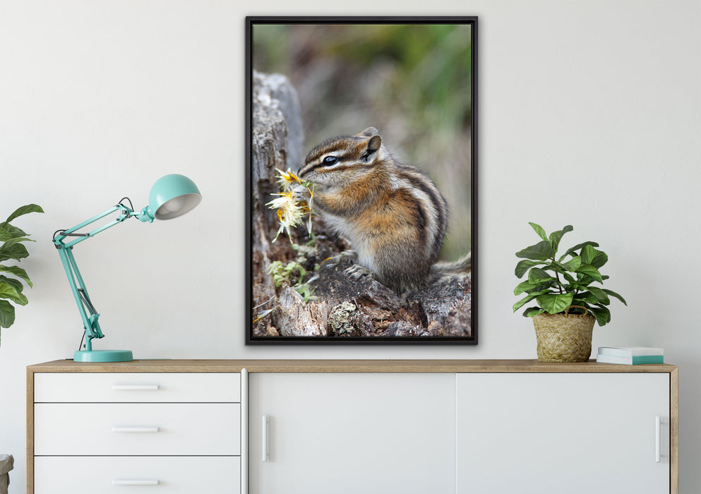 Streifenhörnchen beim Fressen auf Leinwandbild gerahmt verschiedene Größen im Wohnzimmer
