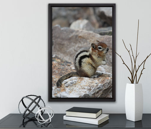 schüchternes Streifenhörnchen auf Leinwandbild gerahmt mit Kirschblüten