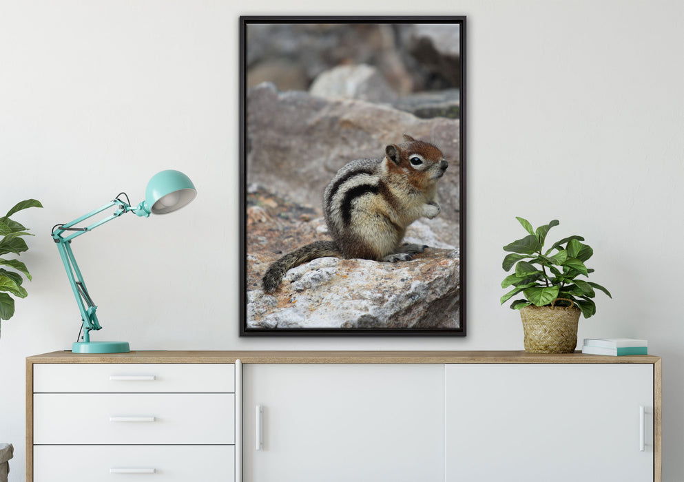 schüchternes Streifenhörnchen auf Leinwandbild gerahmt verschiedene Größen im Wohnzimmer