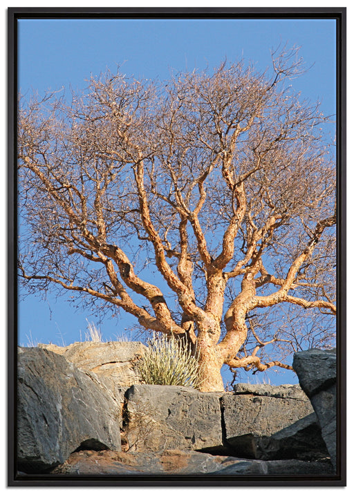 einsamer Baum im Gebirge auf Leinwandbild gerahmt Größe 100x70