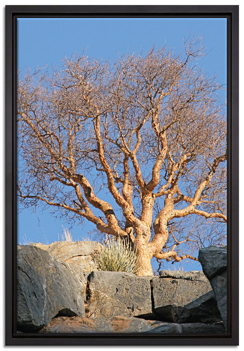 einsamer Baum im Gebirge auf Leinwandbild gerahmt Größe 60x40