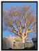 einsamer Baum im Gebirge auf Leinwandbild gerahmt Größe 80x60