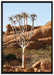 Baum im Steingebirge auf Leinwandbild gerahmt Größe 100x70