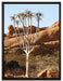 Baum im Steingebirge auf Leinwandbild gerahmt Größe 80x60