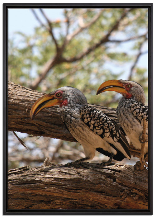 zwei exotische Vögel auf Baum auf Leinwandbild gerahmt Größe 100x70