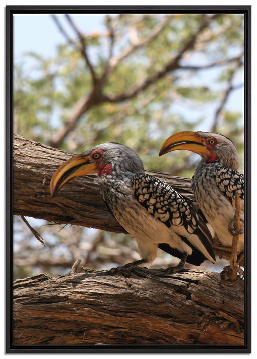 zwei exotische Vögel auf Baum auf Leinwandbild gerahmt Größe 100x70