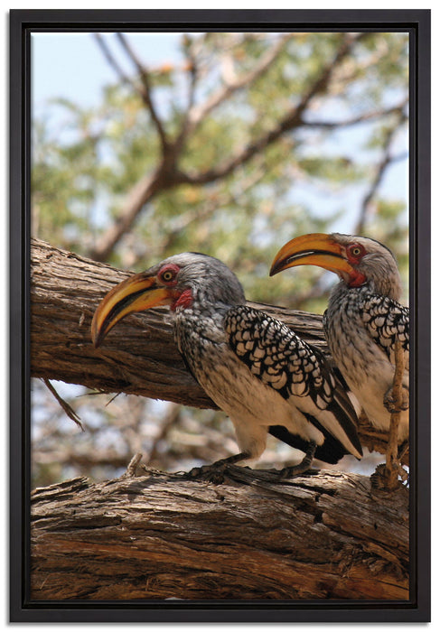 zwei exotische Vögel auf Baum auf Leinwandbild gerahmt Größe 60x40
