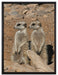 kleines Erdmännchen Rudel auf Leinwandbild gerahmt Größe 80x60