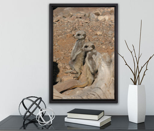 kleines Erdmännchen Rudel auf Leinwandbild gerahmt mit Kirschblüten