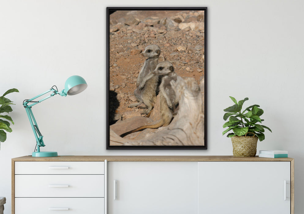 kleines Erdmännchen Rudel auf Leinwandbild gerahmt verschiedene Größen im Wohnzimmer