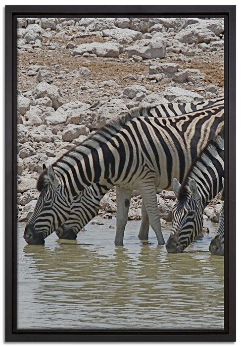 Zebraherde am Wasserloch auf Leinwandbild gerahmt Größe 60x40