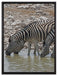 Zebraherde am Wasserloch auf Leinwandbild gerahmt Größe 80x60