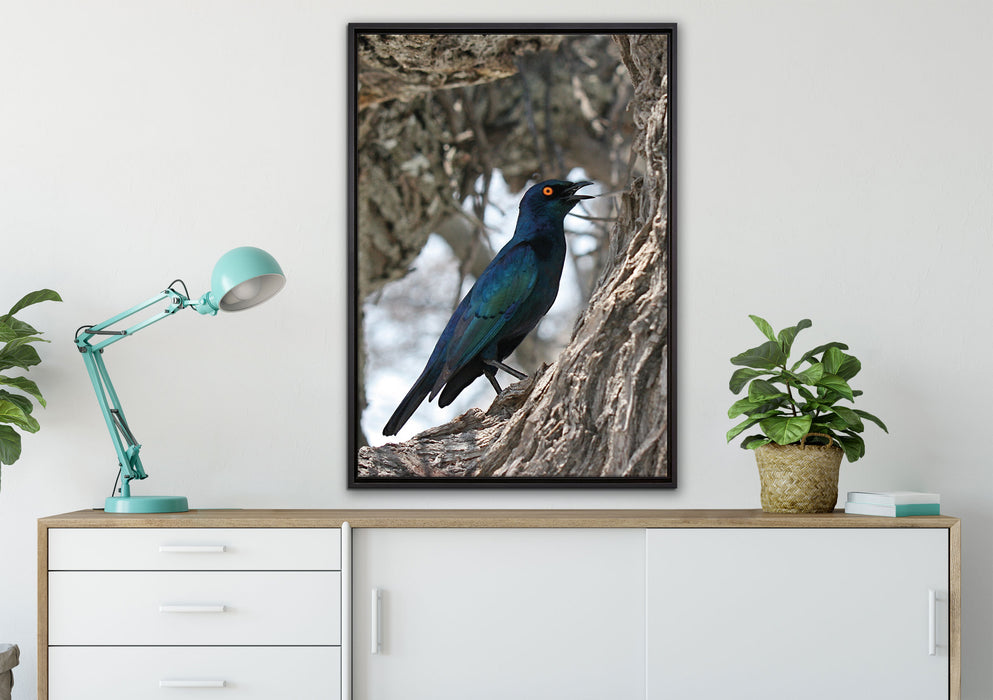 Purpurglanzstar auf Baum auf Leinwandbild gerahmt verschiedene Größen im Wohnzimmer