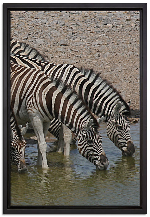 Zebraherde an einem Wasserloch auf Leinwandbild gerahmt Größe 60x40