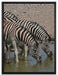 Zebraherde an einem Wasserloch auf Leinwandbild gerahmt Größe 80x60