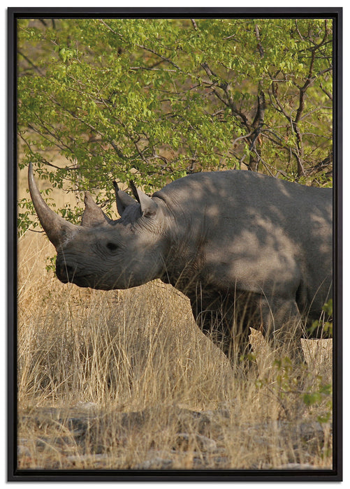 Nashorn in der Savanne auf Leinwandbild gerahmt Größe 100x70