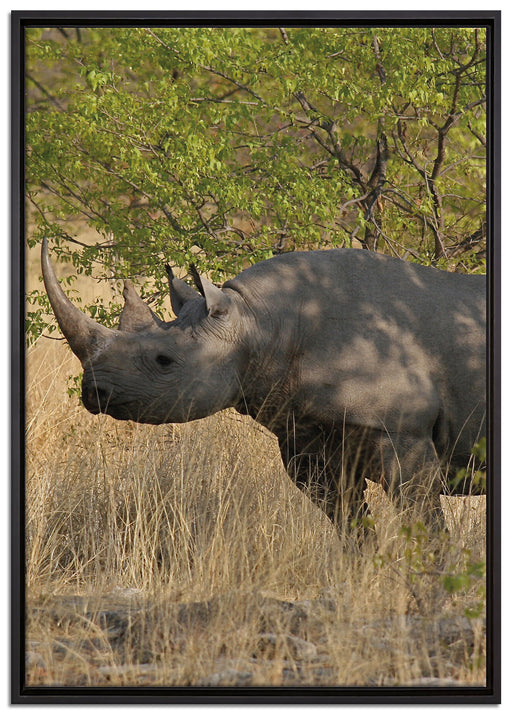 Nashorn in der Savanne auf Leinwandbild gerahmt Größe 100x70