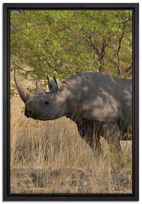 Nashorn in der Savanne auf Leinwandbild gerahmt Größe 60x40