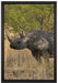 Nashorn in der Savanne auf Leinwandbild gerahmt Größe 60x40