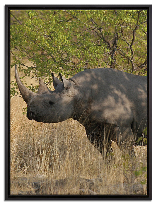 Nashorn in der Savanne auf Leinwandbild gerahmt Größe 80x60