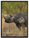 Nashorn in der Savanne auf Leinwandbild gerahmt Größe 80x60