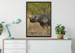 Nashorn in der Savanne auf Leinwandbild gerahmt verschiedene Größen im Wohnzimmer
