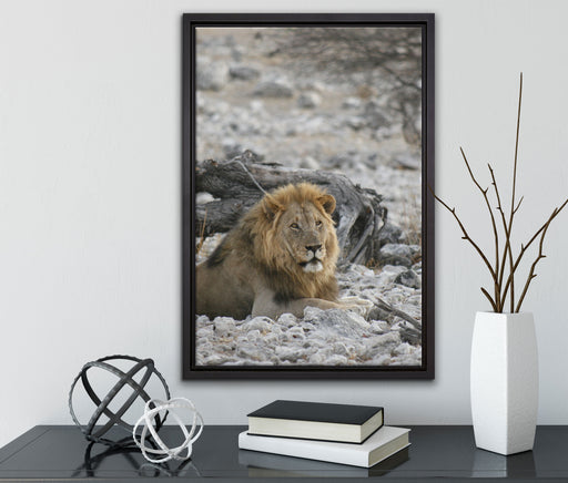 Löwe in Steinlandschaft auf Leinwandbild gerahmt mit Kirschblüten