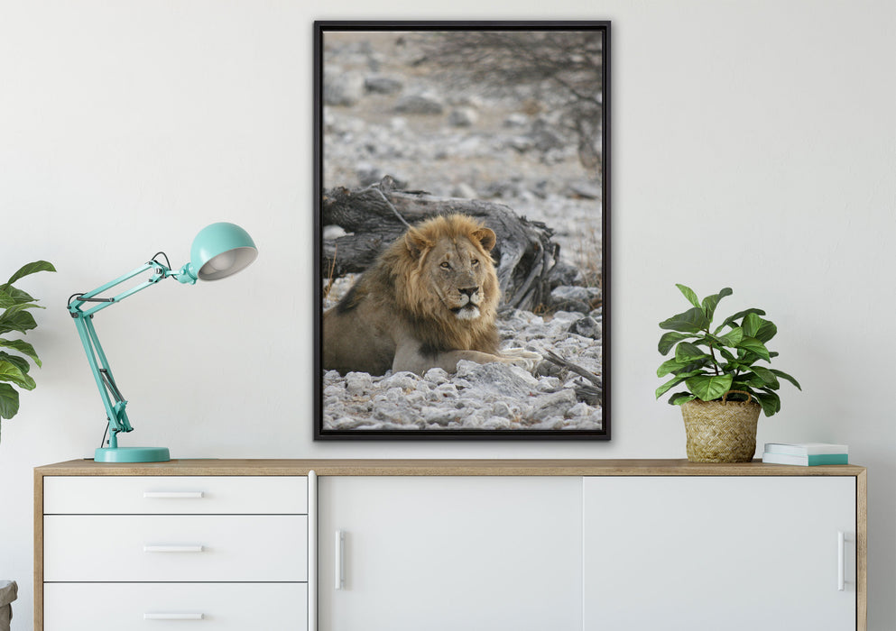 Löwe in Steinlandschaft auf Leinwandbild gerahmt verschiedene Größen im Wohnzimmer
