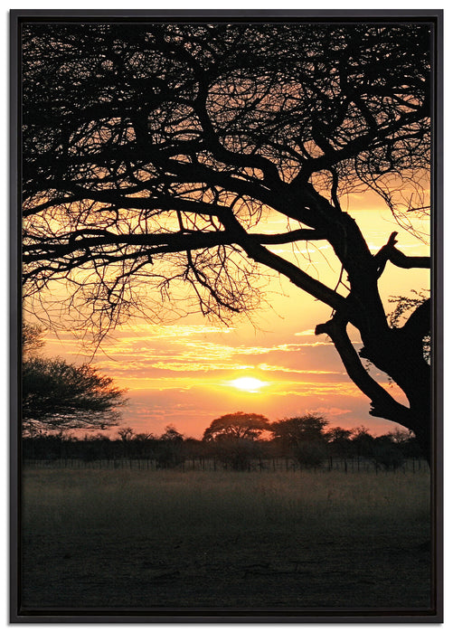 Savanne im Dämmerlicht auf Leinwandbild gerahmt Größe 100x70