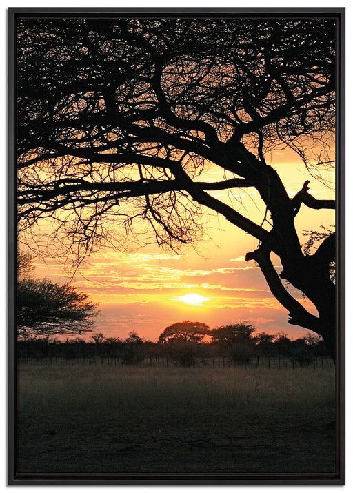 Savanne im Dämmerlicht auf Leinwandbild gerahmt Größe 100x70