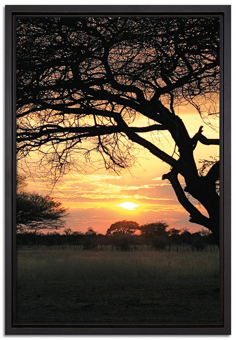 Savanne im Dämmerlicht auf Leinwandbild gerahmt Größe 60x40
